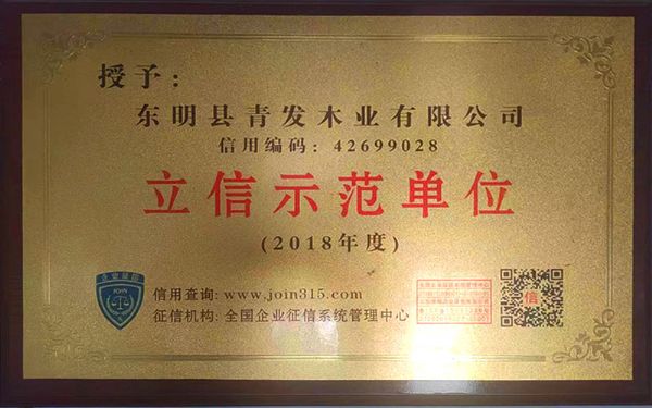 立信示范单位